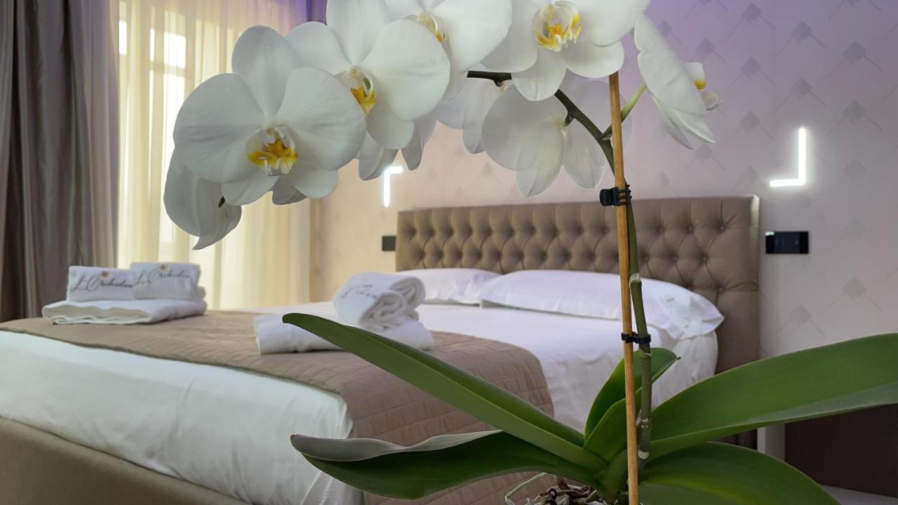 B&B L'Orchidea 特罗佩阿 外观 照片