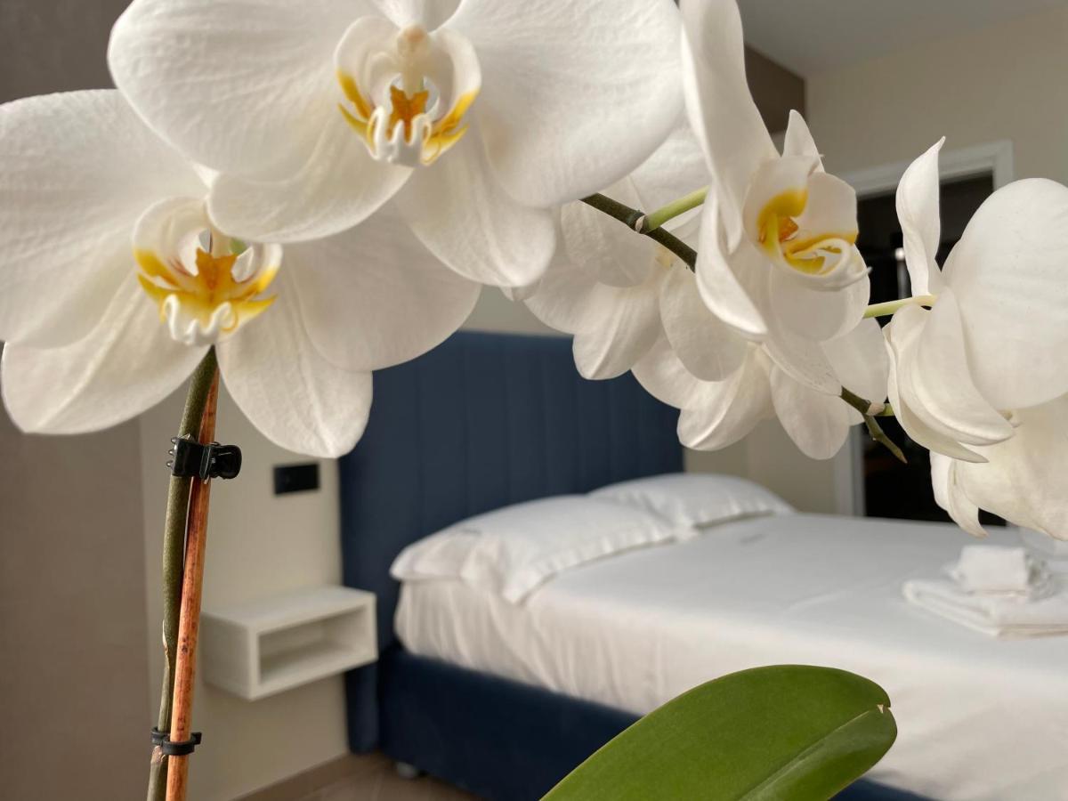 B&B L'Orchidea 特罗佩阿 外观 照片