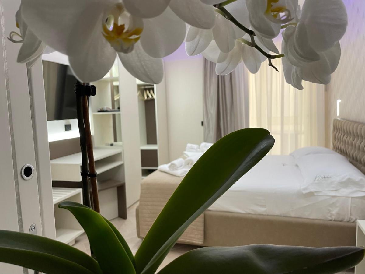 B&B L'Orchidea 特罗佩阿 外观 照片